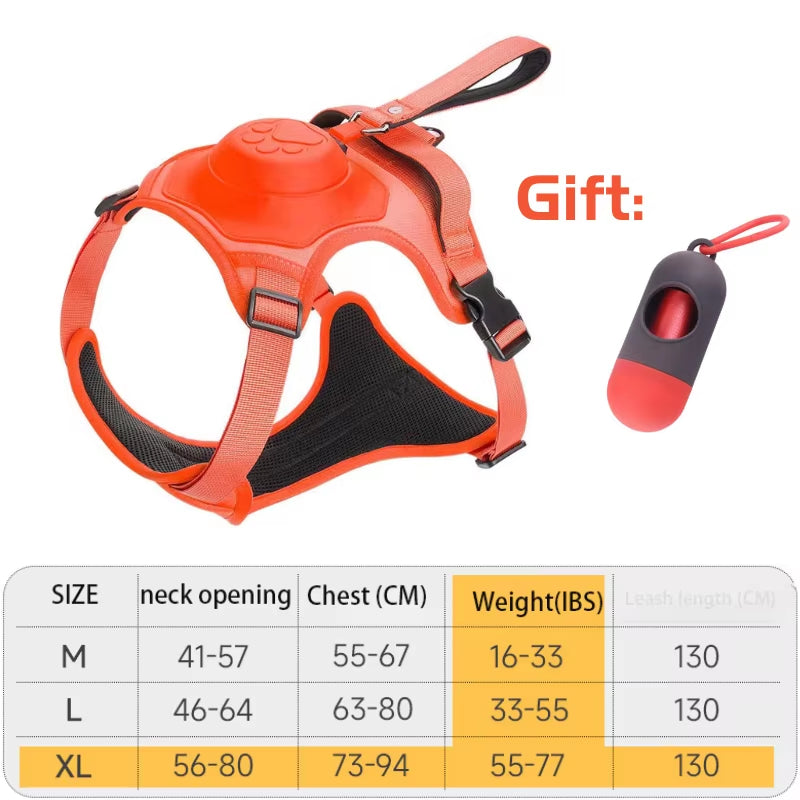 Flexi Harness