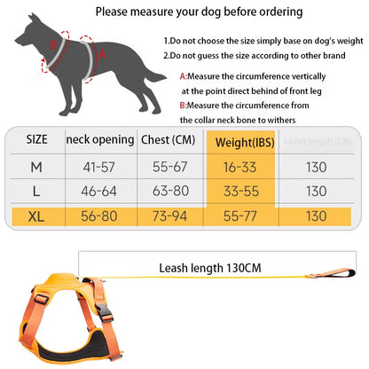 Flexi Harness