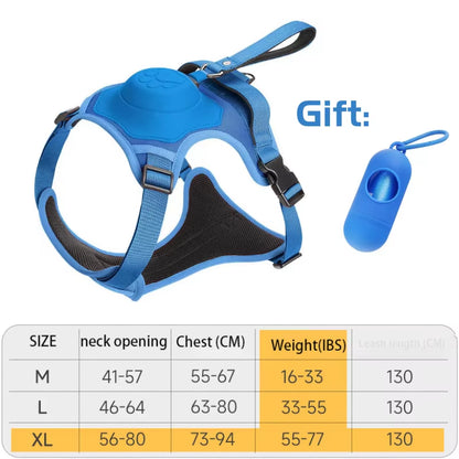Flexi Harness