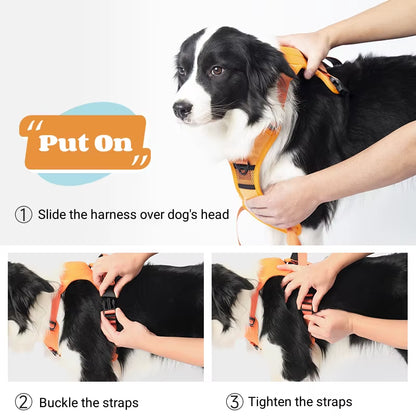 Flexi Harness