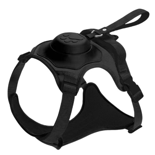 Flexi Harness